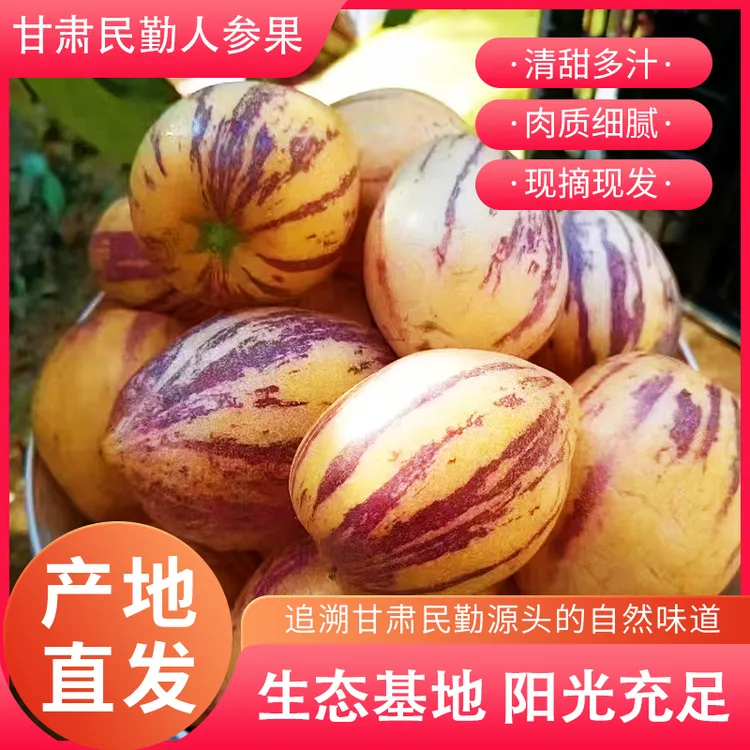 甘肃民勤沙漠多汁人参果新鲜水果现摘现发自然成熟黄肉大果人生果