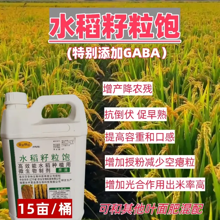 水稻籽粒饱防倒伏活杆成熟提高出米率促早熟5-7天