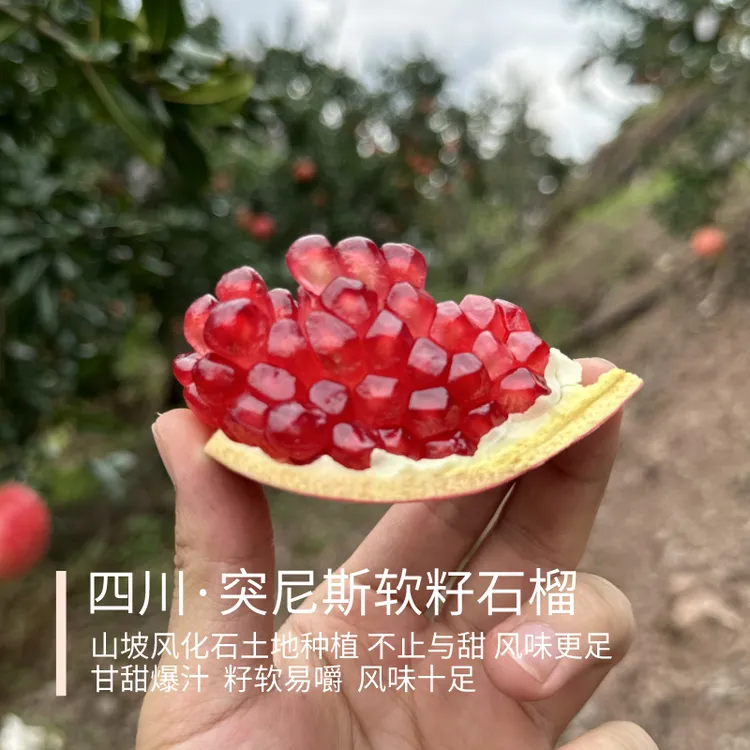 突尼斯软籽石榴 四川会理 山坡风化石种植味更足 家庭装5斤 顺丰