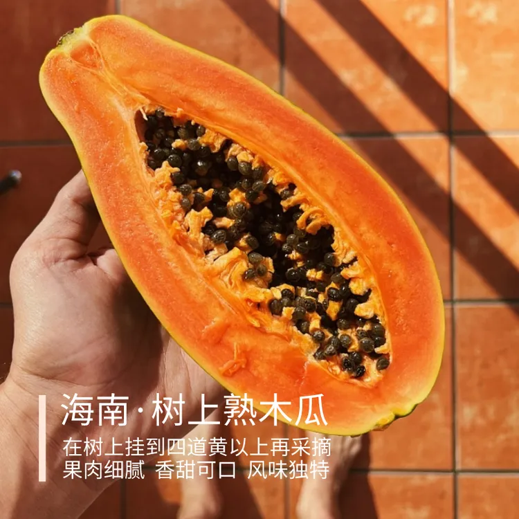 树上熟木瓜 海南 红心木瓜 果肉细腻香甜可口清甜多汁 5斤约2-5个