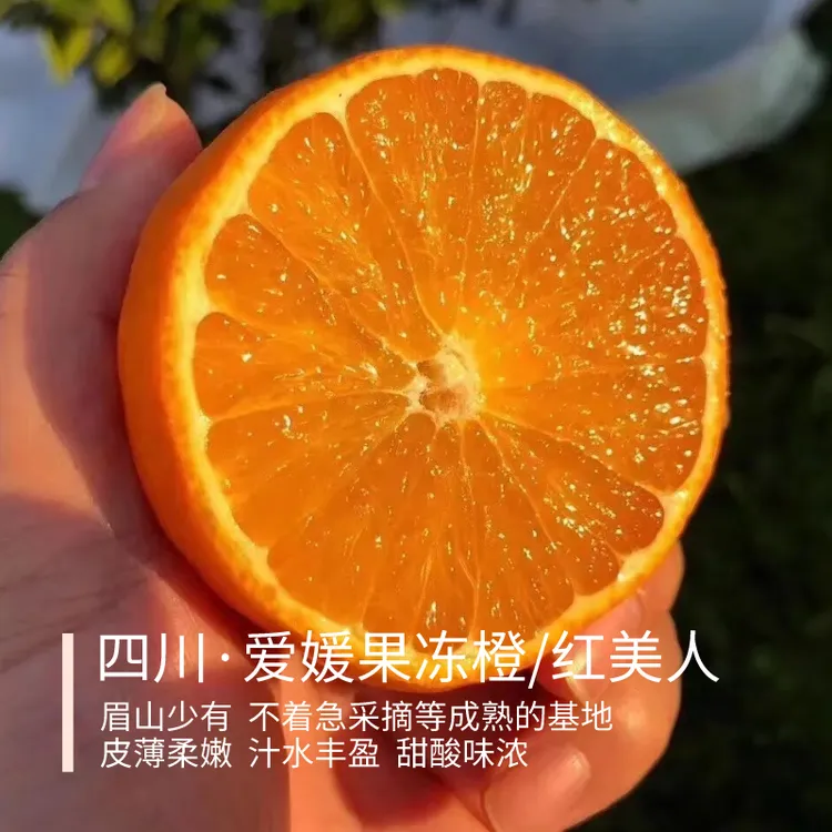 爱媛果冻橙/红美人 四川眉山 甜酸味浓 皮薄柔嫩 汁水丰盈 4.8斤