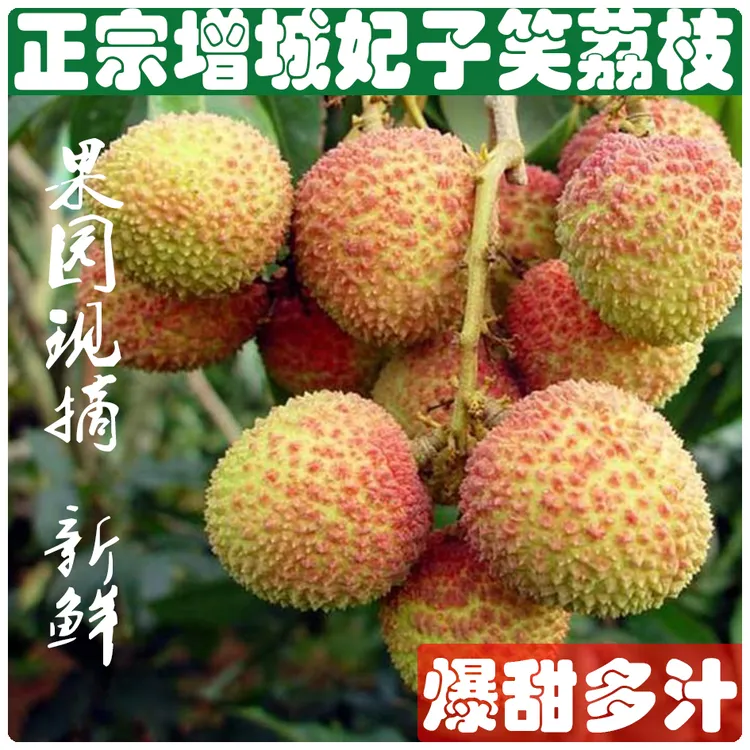 增城荔枝新鲜现摘妃子笑荔枝大果正宗广东新鲜水果爆汁荔枝桂味
