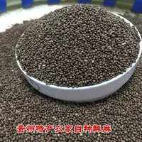 贵州高山种植新苏麻苏籽种子馅引子无杂质贵州酥麻农家食用
