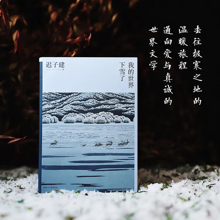 我的世界下雪了（茅盾文学奖得主迟子建散文系列）