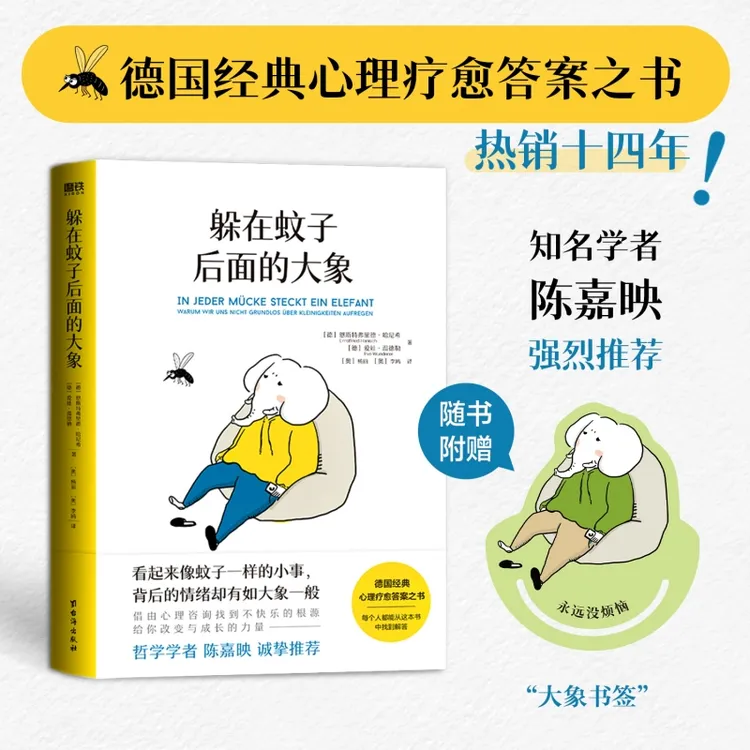 躲在蚊子后面的大象（拯救讨好型人格，知名学者陈嘉映强烈推荐）