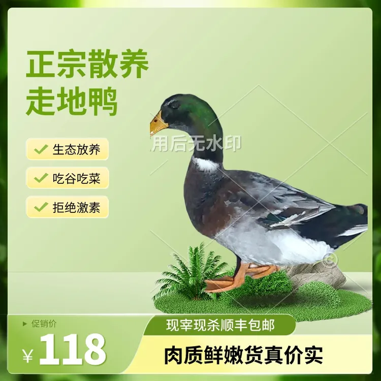正宗农家走地鸭谷物饲养净重4.5斤现宰现杀鸭肉新鲜打包顺丰包邮