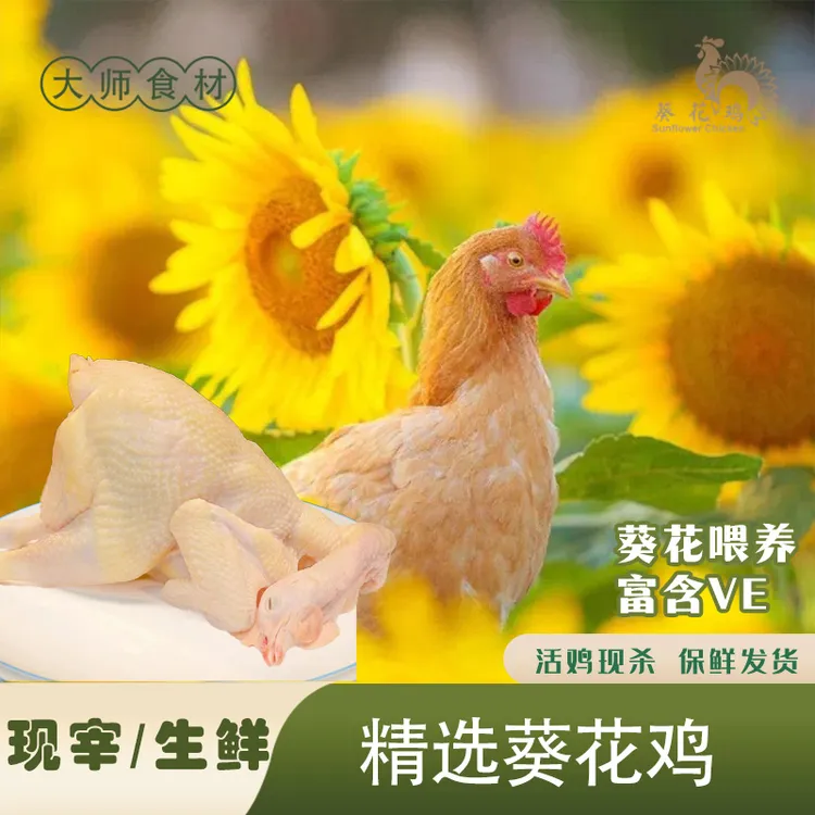 正宗葵花鸡米其林同款【精选生鲜700g以上】当天现宰现杀顺丰特快