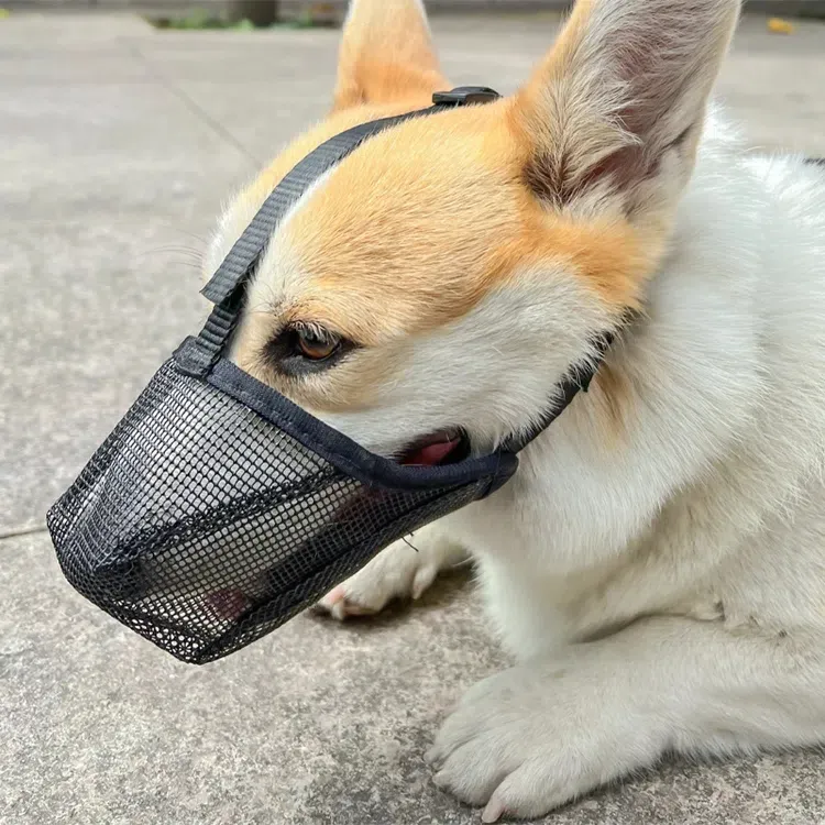 【呼呼】网格狗嘴套狗狗嘴罩透气防咬叫乱吃狗止吠器宠物嘴套