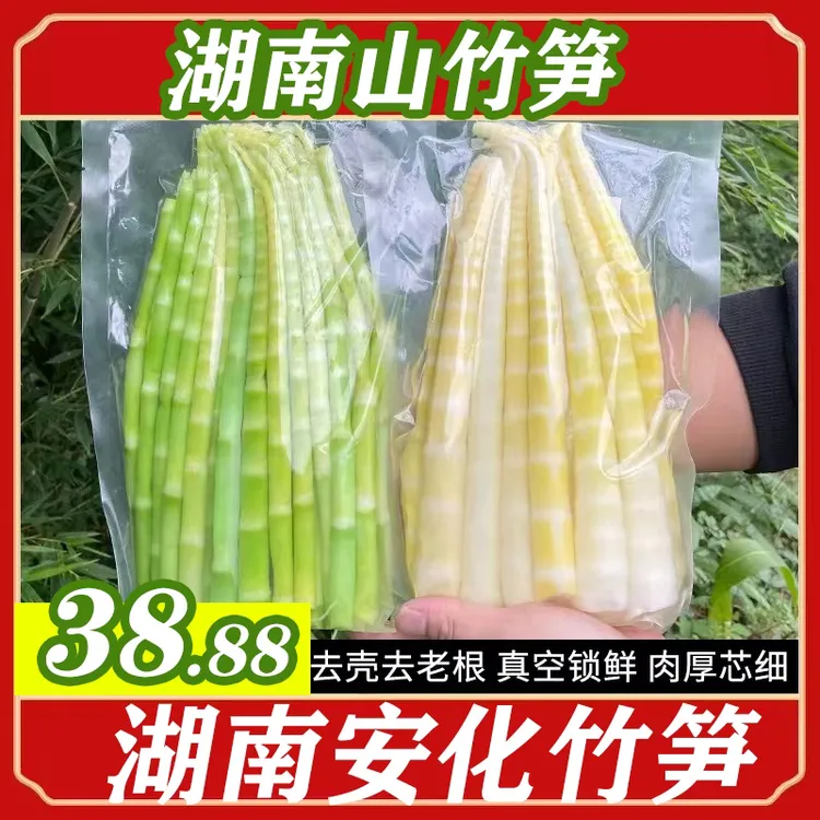 湖南山竹笋新笋安化竹笋春笋嫩笋尖小竹笋火锅笋鲜笋清水山竹笋