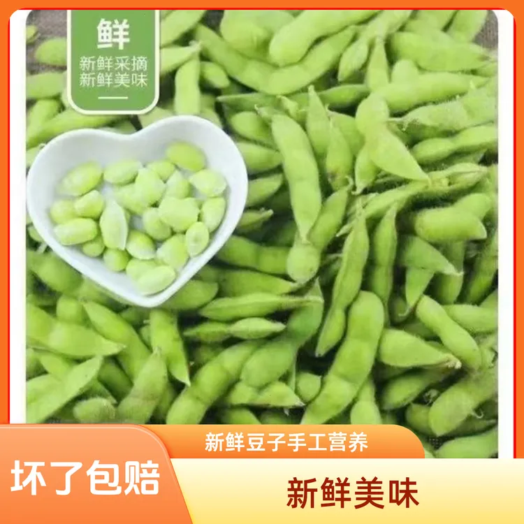 新鲜豆子手工营养毛豆包邮毛豆云南批发农家鲜毛豆大青豆商用毛豆