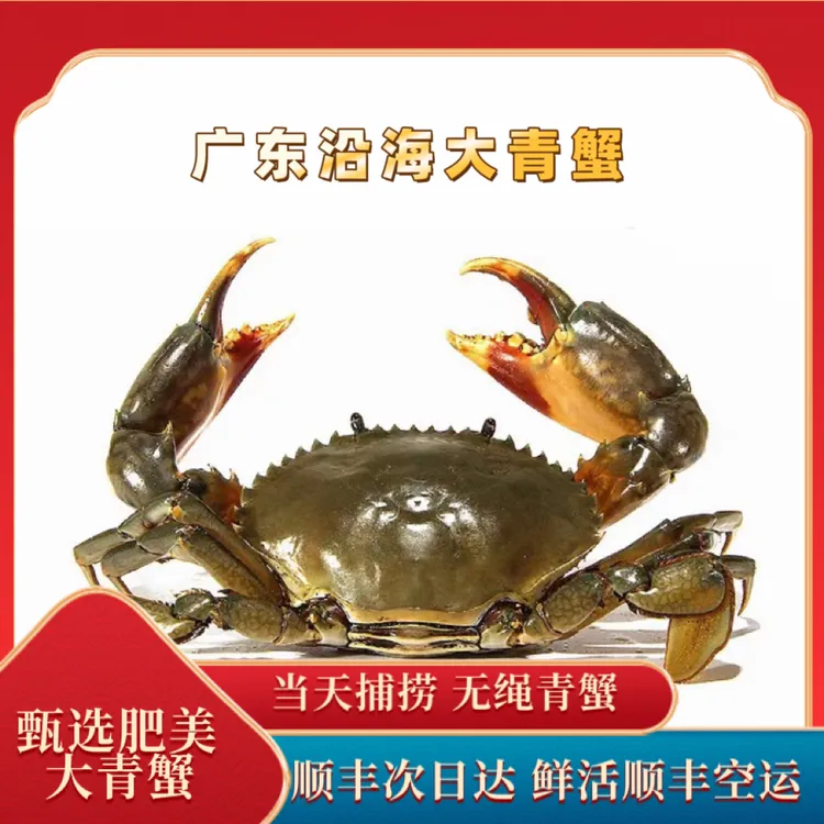 广东沿海青蟹大肉蟹（顺丰活发）勿放冰箱
