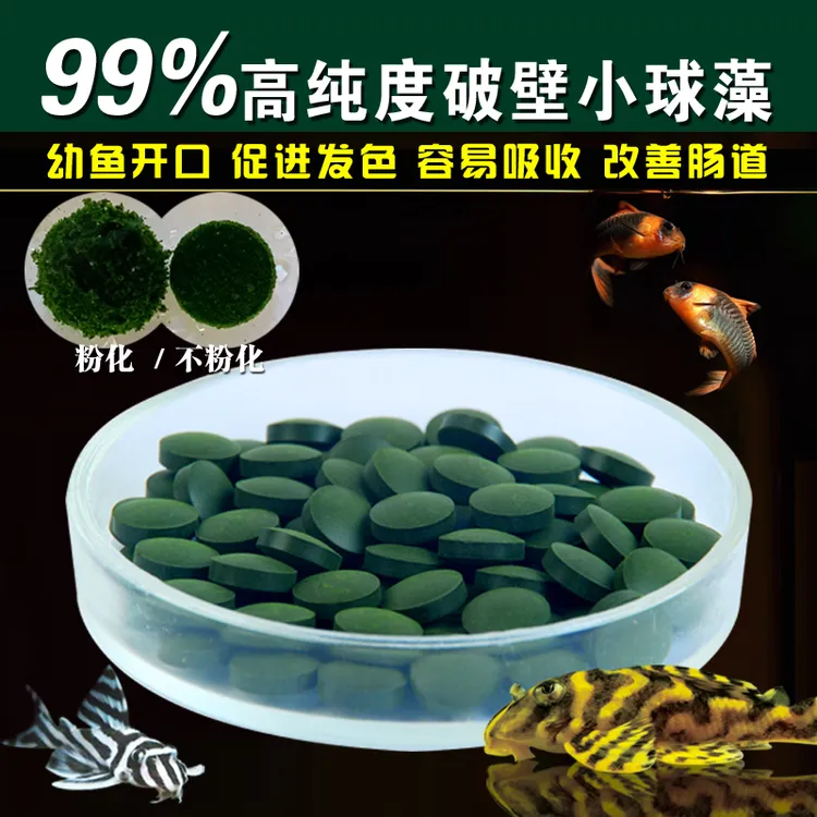 小球藻鱼食藻片胡子大帆异形鱼饲料底栖虾粮熊猫迷宫鼠鱼苗开口粮