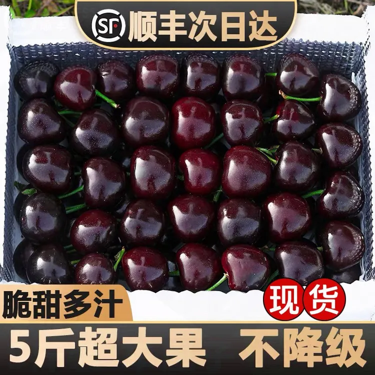 顺丰海运智利拉车厘子J-5J进口樱桃新鲜水果脆甜原箱内附果径卡