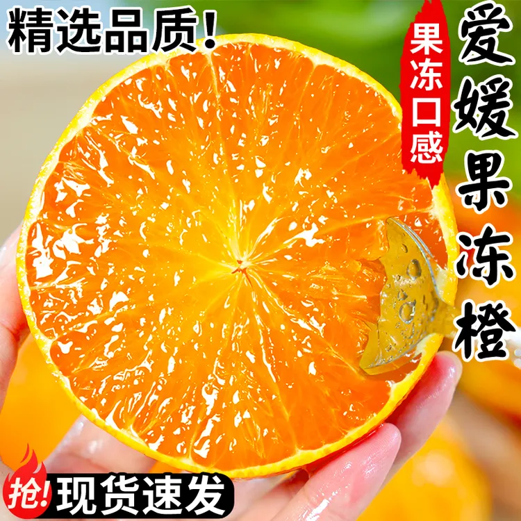 爱媛38号果冻橙子水果无籽皮薄肉厚酸甜多汁现摘现发孕妇水果