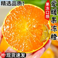 爱媛38号果冻橙子水果无籽皮薄肉厚酸甜多汁现摘现发孕妇水果