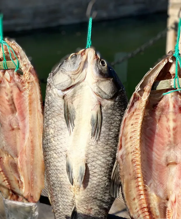 毛阿姨手工咸青鱼（默认切2-3块整鱼可去门店）