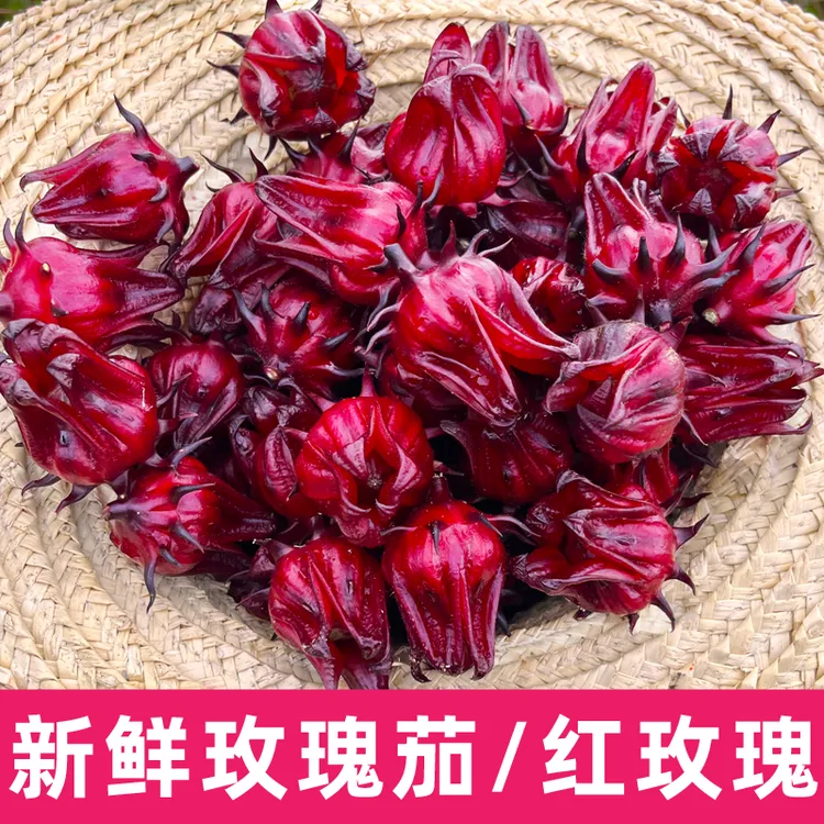 新鲜现摘洛神花新鲜红桃k花广西玫瑰茹可做果脯果茶酵素泡酒