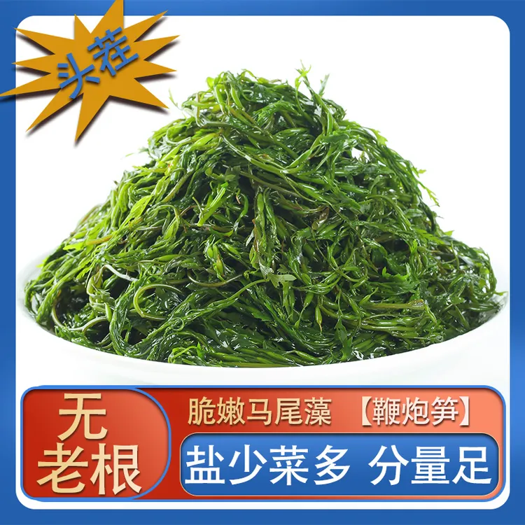 马尾藻鞭炮笋新鲜海藻羊栖菜凉拌菜火锅海草长寿菜盐渍马尾藻包邮