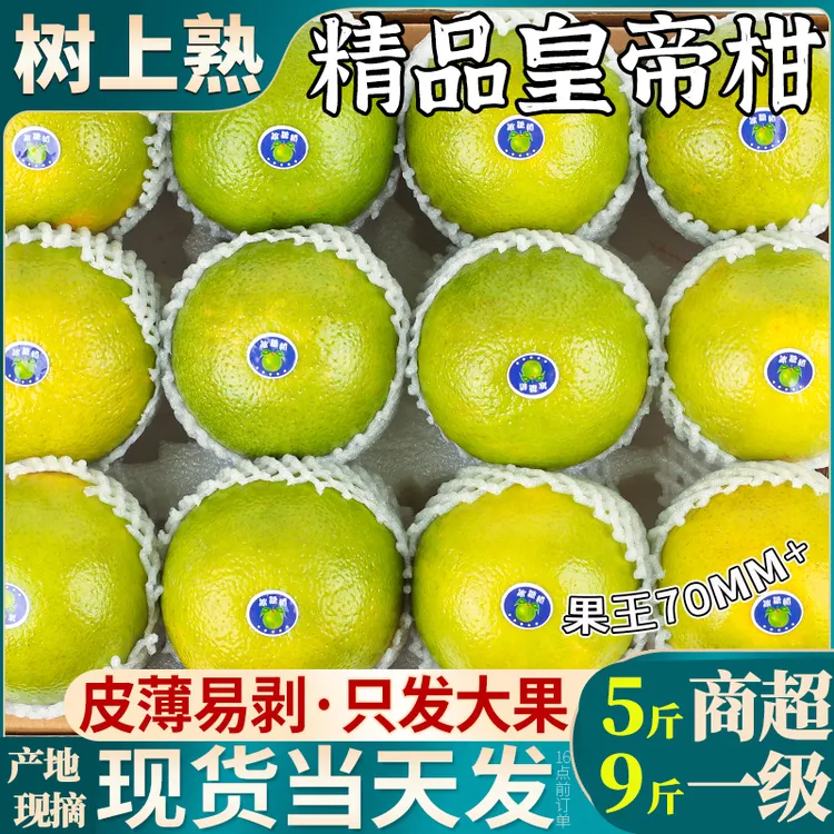 礼盒特大果5/9斤正宗精选皇帝柑新鲜水果现摘橘子当季整箱桔子