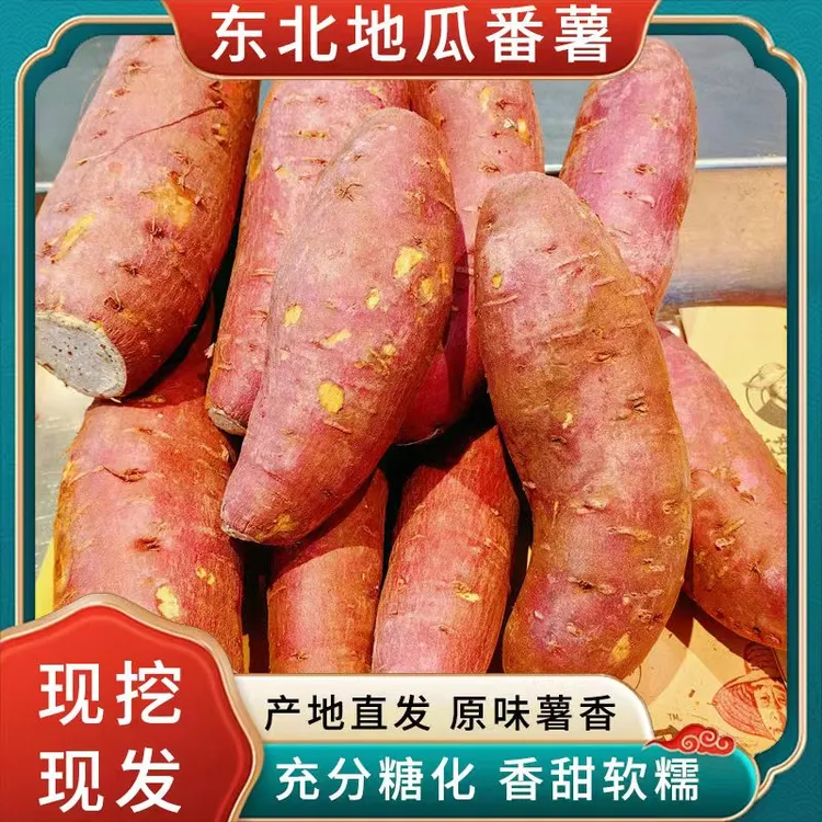 北盘农园榴莲蜜薯拇指地瓜