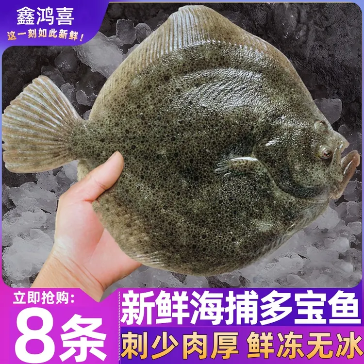 【大号多宝鱼】新鲜海捕多宝鱼【拍6条送2条】到手8条顺丰京东包邮商品图