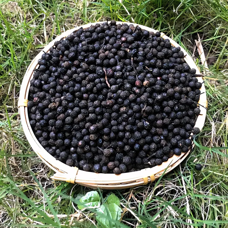 包邮贵州土特产木姜子木江子新鲜山胡椒晒干山苍籽子木浆子 250克