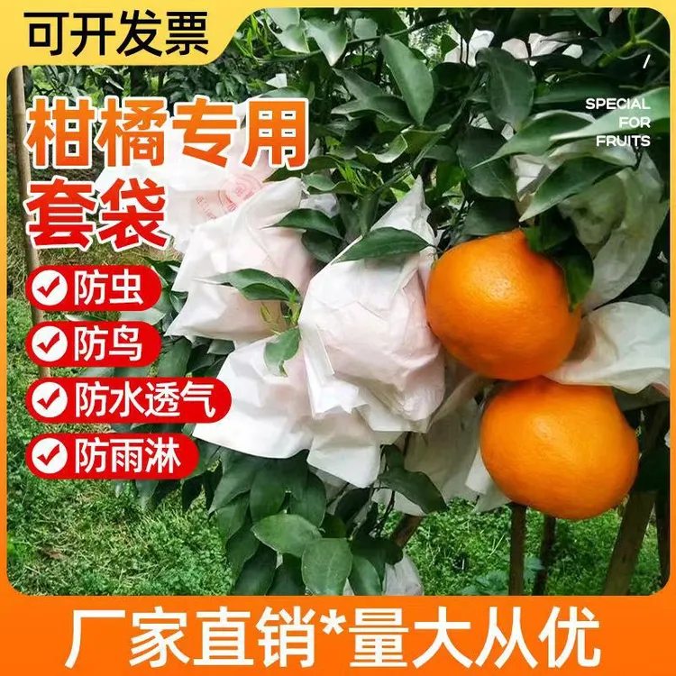 柑橘套袋橘子果袋丑橘橙子耙耙柑防虫防鸟石榴沃柑脐橙水果纸套袋