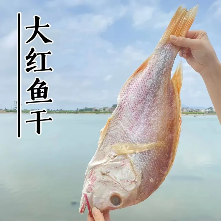 广东 阳江特产 红鱼干 咸鱼干 焖五花肉 （单条1200g-1450g）水产
