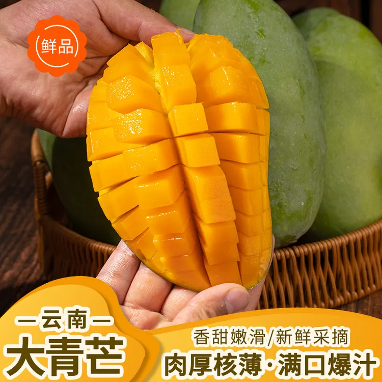 正宗云南大青芒新鲜核薄肉厚软糯维c香甜生熟两吃应季水果老树