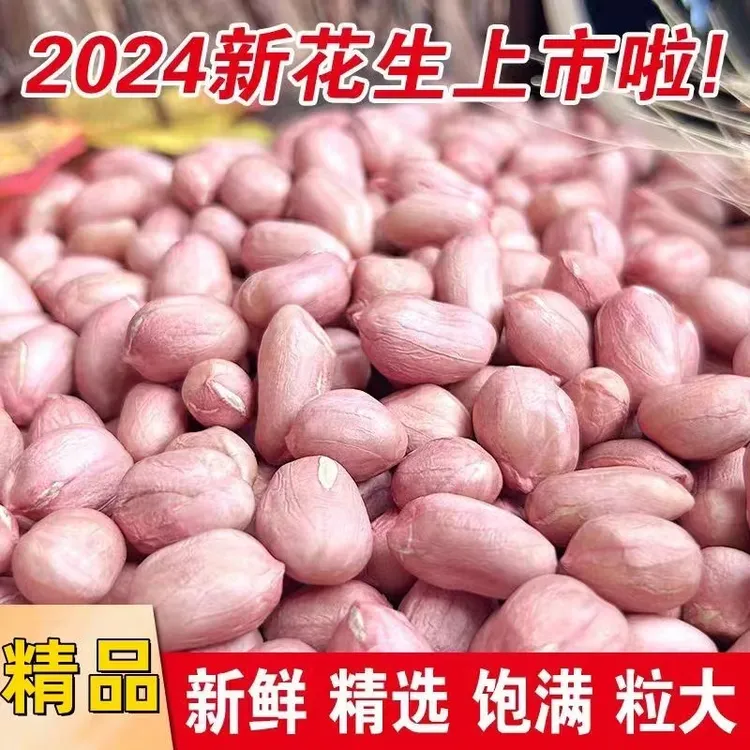 当季2024年9月花生米5斤3斤1斤装农家自种散装新江苏生花生花生仁