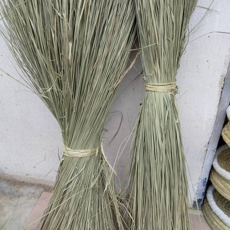 纯天然续窝油草无污染
