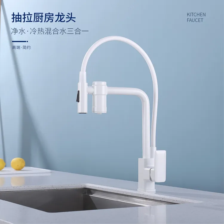 全铜自置净水过滤功能冷热抽拉磁吸回位厨房水龙头洗碗池水槽菜盆
