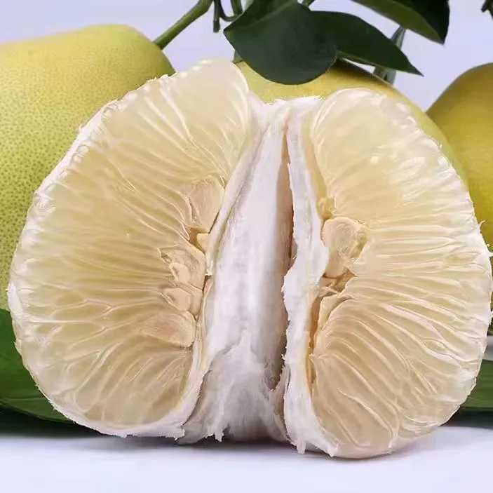 怀化安江雪峰小苦柚药柚应季水果带箱五斤发货