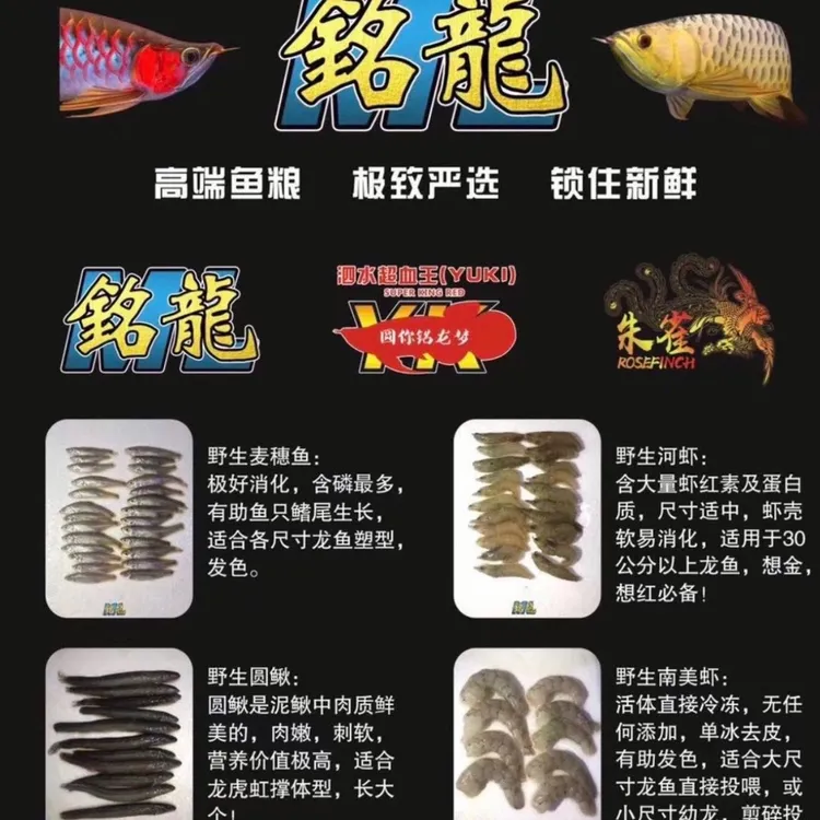 「囤货节」「铭龙自营」冠鳞鱼食 麦穗/河虾/泥鳅/虾仁 单冰冷冻 