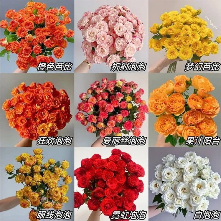 多头玫瑰鲜花玫瑰花养护简单基地直发云南新鲜鲜花