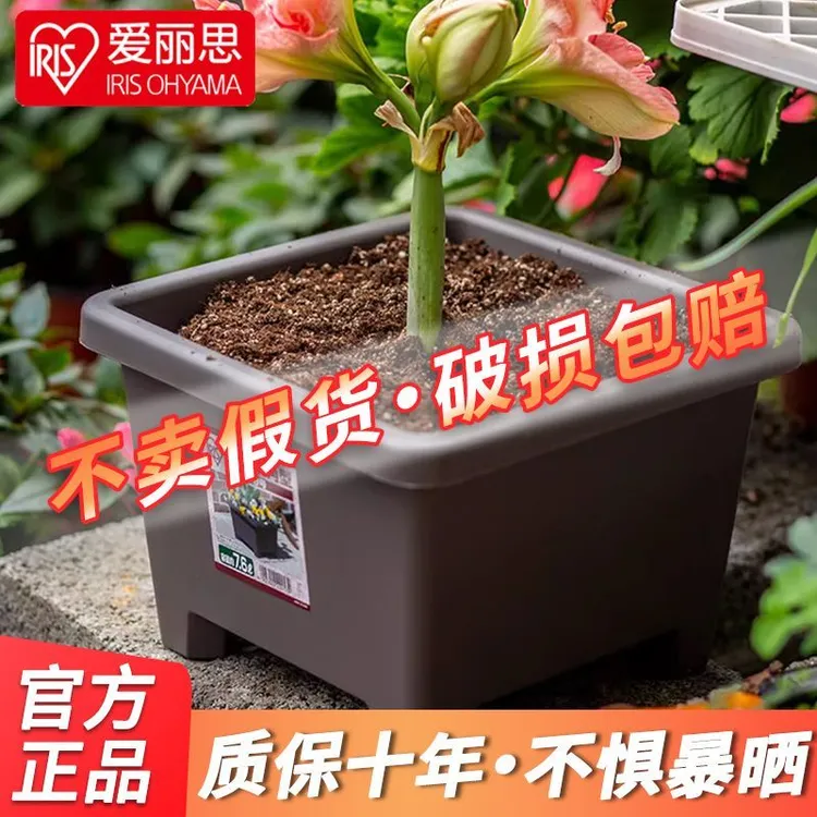 爱丽思花盆种球圆形花卉盆栽植物爱丽丝球根盆阳台塑料树脂绿植盆