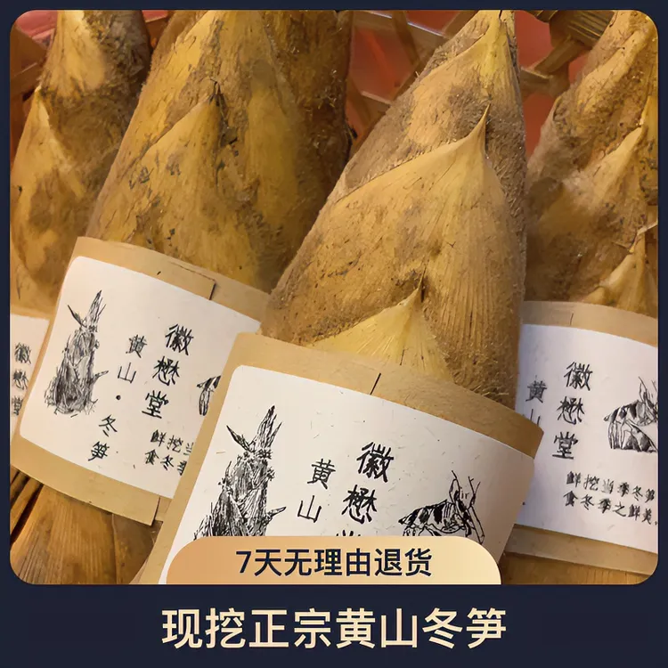 【现挖现发】黄山特产现挖鲜冬笋新鲜带泥·粗纤维鲜嫩深山冬笋包邮