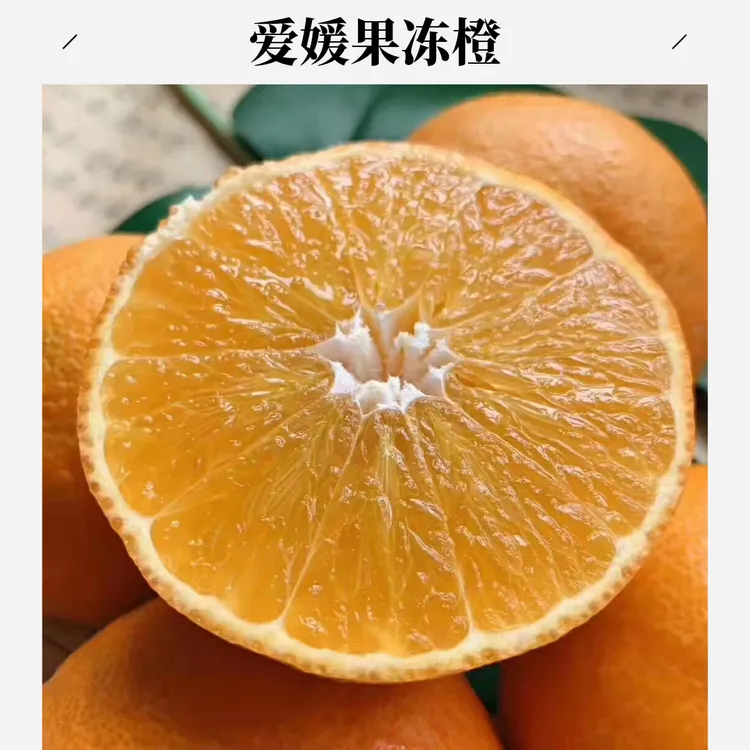 （弯大姐专属）四川原产地爱媛果冻橙新鲜现摘现发皮薄天然阳光充足