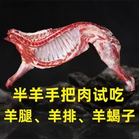 半羊试吃装（羊腿 羊排 羊蝎子）