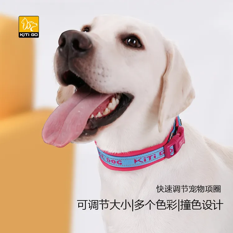 KiTi Go 高端狗狗项圈颈圈大中小型犬可调节宠物脖圈脖套时尚撞色