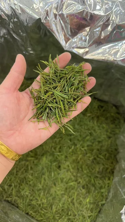 260-白茶绿茶125g*2125g*4（买一斤送万象杯）