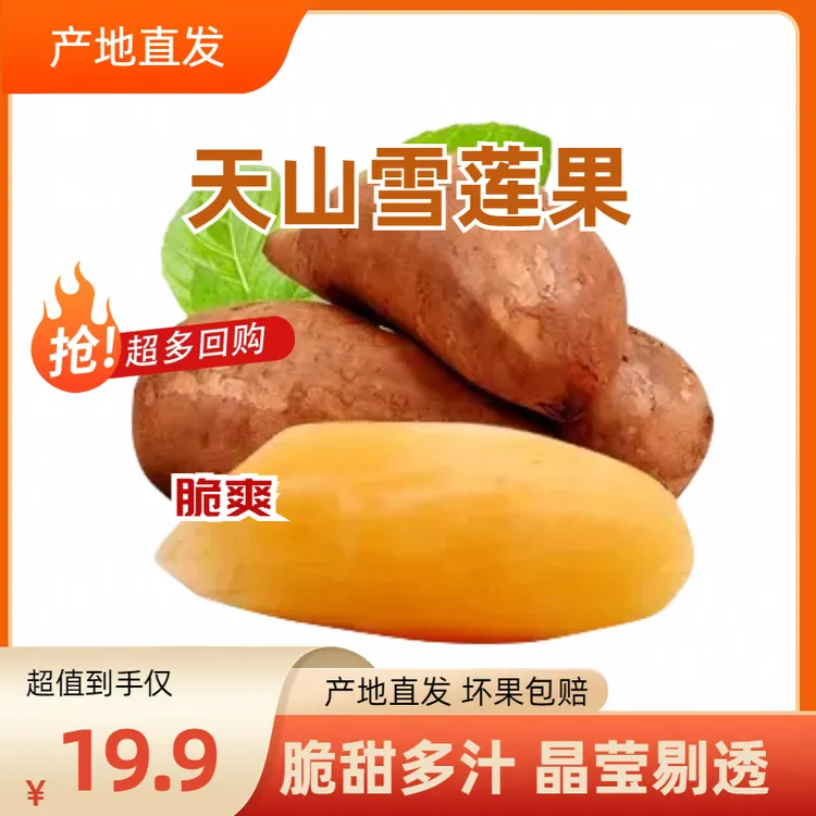 云南雪莲果清甜多汁脆嫩可口新鲜水果当季现挖发货5斤4-12个装