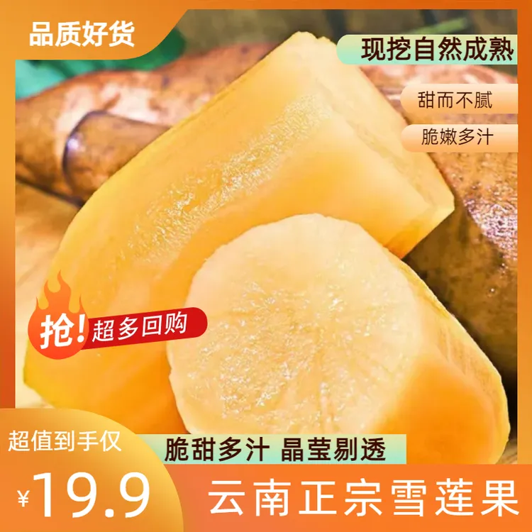 云南雪莲果清甜多汁脆嫩可口新鲜水果当季现挖精选5斤5-12个装
