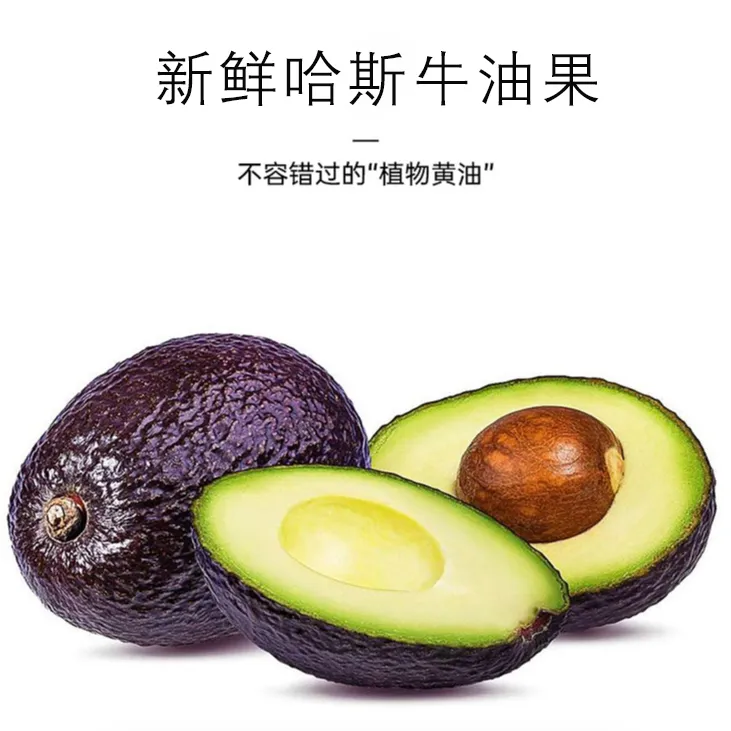 【催熟食用】丝滑绵密云南哈斯牛油果新鲜水果宝宝辅食