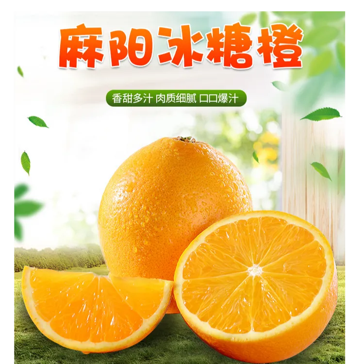 湖南麻阳冰糖橙新鲜水果当季小橙子手剥橙子4.5/9斤装