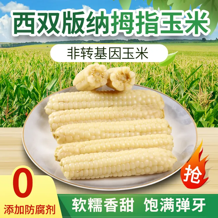 云南西双版纳颗粒饱满香甜软糯拇指正宗糯玉米玉米