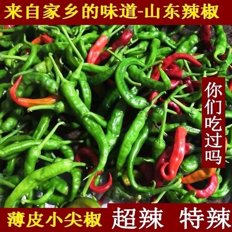 徐州邳州枣庄本地辣椒新鲜薄皮特辣勾椒尖椒现摘现发自种农产品