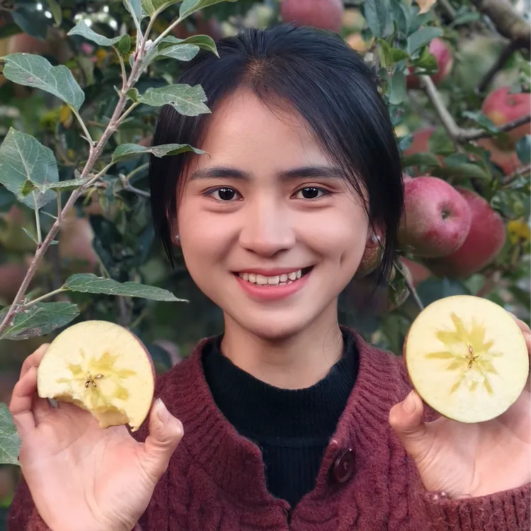 正宗昭通红富士 酸甜可口  新鲜试吃