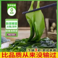 【霞浦特产】海中青菜  海带嫩苗  鲜嫩脆爽 火锅伴侣 食材 500g/包