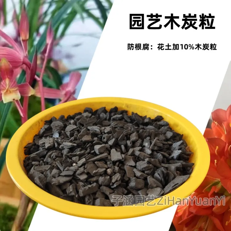 园艺木炭粒兰花君子兰多肉拌土防烂根保水保肥果木炭活性炭解肥害